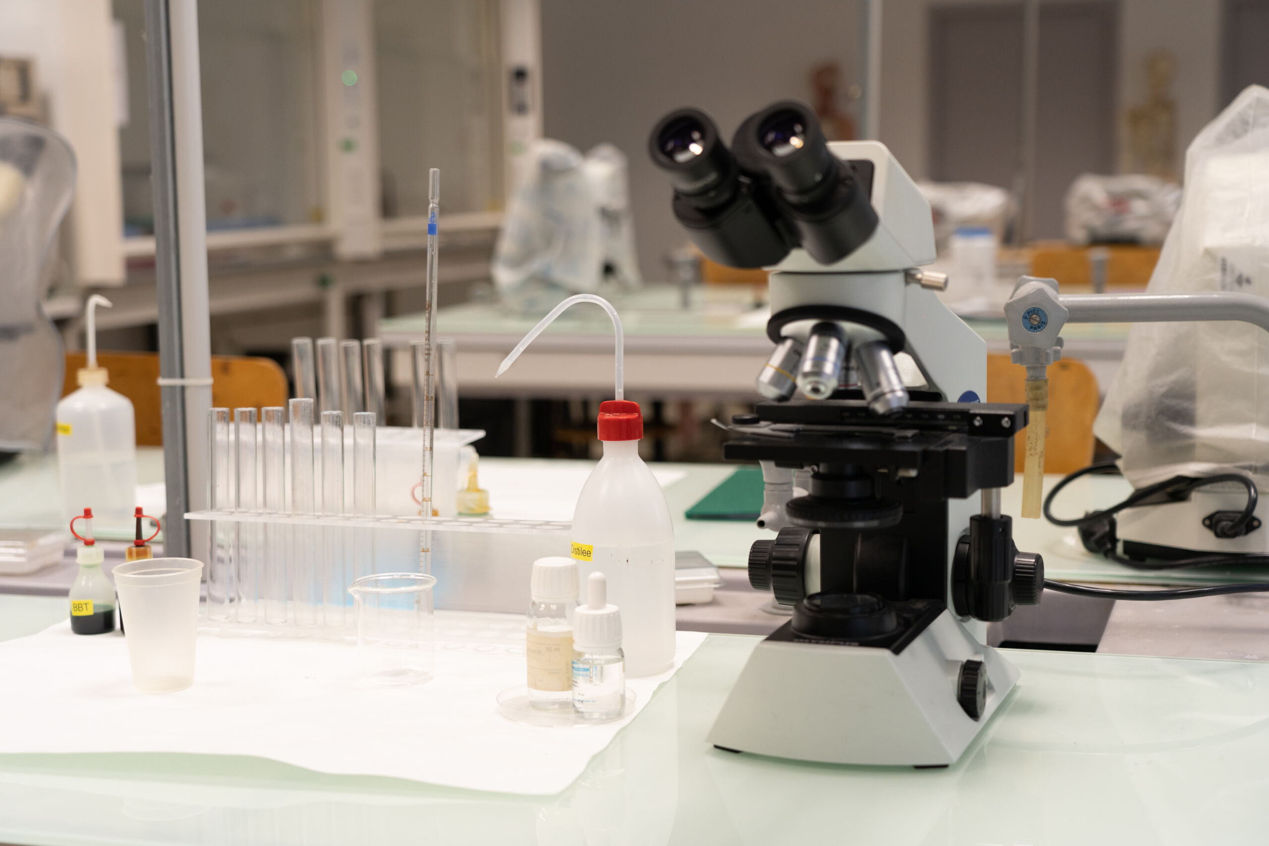 Génie Biologique Parcours Sciences De L'aliment Et Biotechnologie